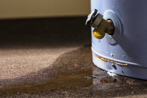 Best Carpet water damage restoration  in Limesa, CA