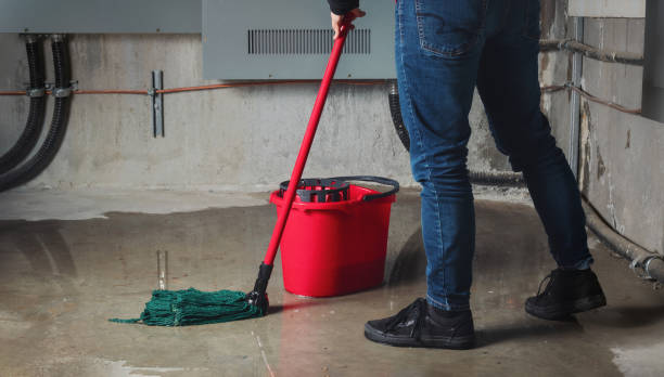Best Water damage restoration company  in Limesa, CA