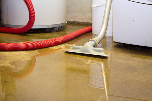  Limesa, CA Water damage restoration Pros