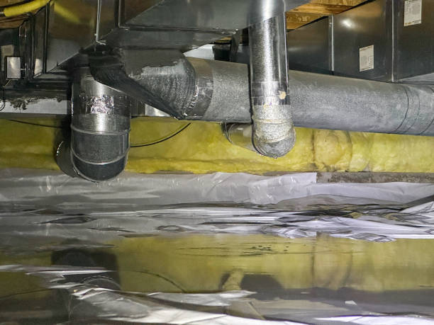 Best Flood restoration services  in Limesa, CA