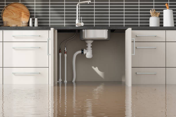 Best Basement water damage restoration  in Limesa, CA