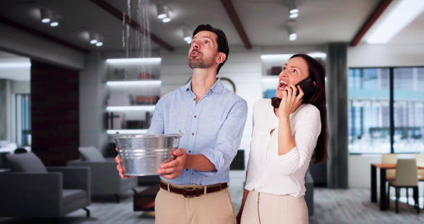 Best Water damage restoration near me  in Limesa, CA