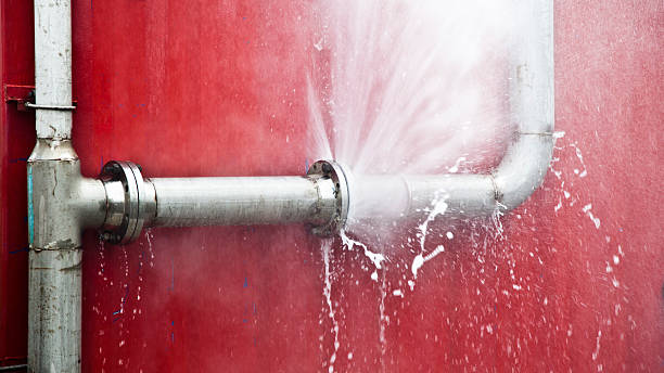 Best 24/7 water damage repair  in Limesa, CA